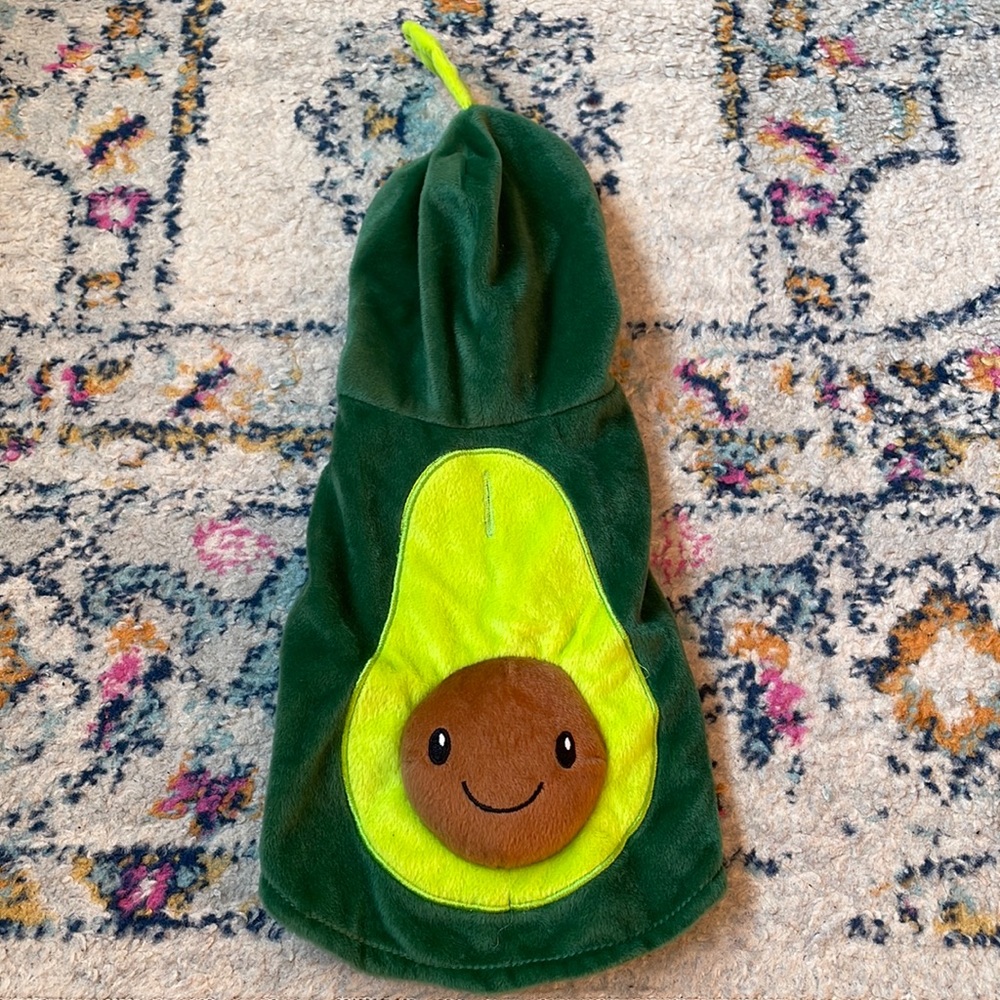 Avocado xs pet costume worn once sooo cute!